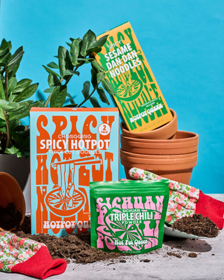 SPICY SESAME DAN DAN NOODLES (1 PACK)